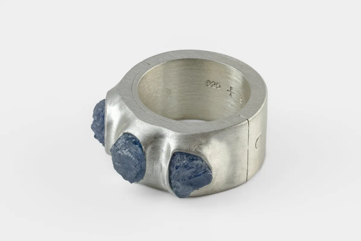 Sistema Ring (Terrestrial Surfaced, 3 Tanzanites, 12mm, MA+TAN) sold by Parts of Four