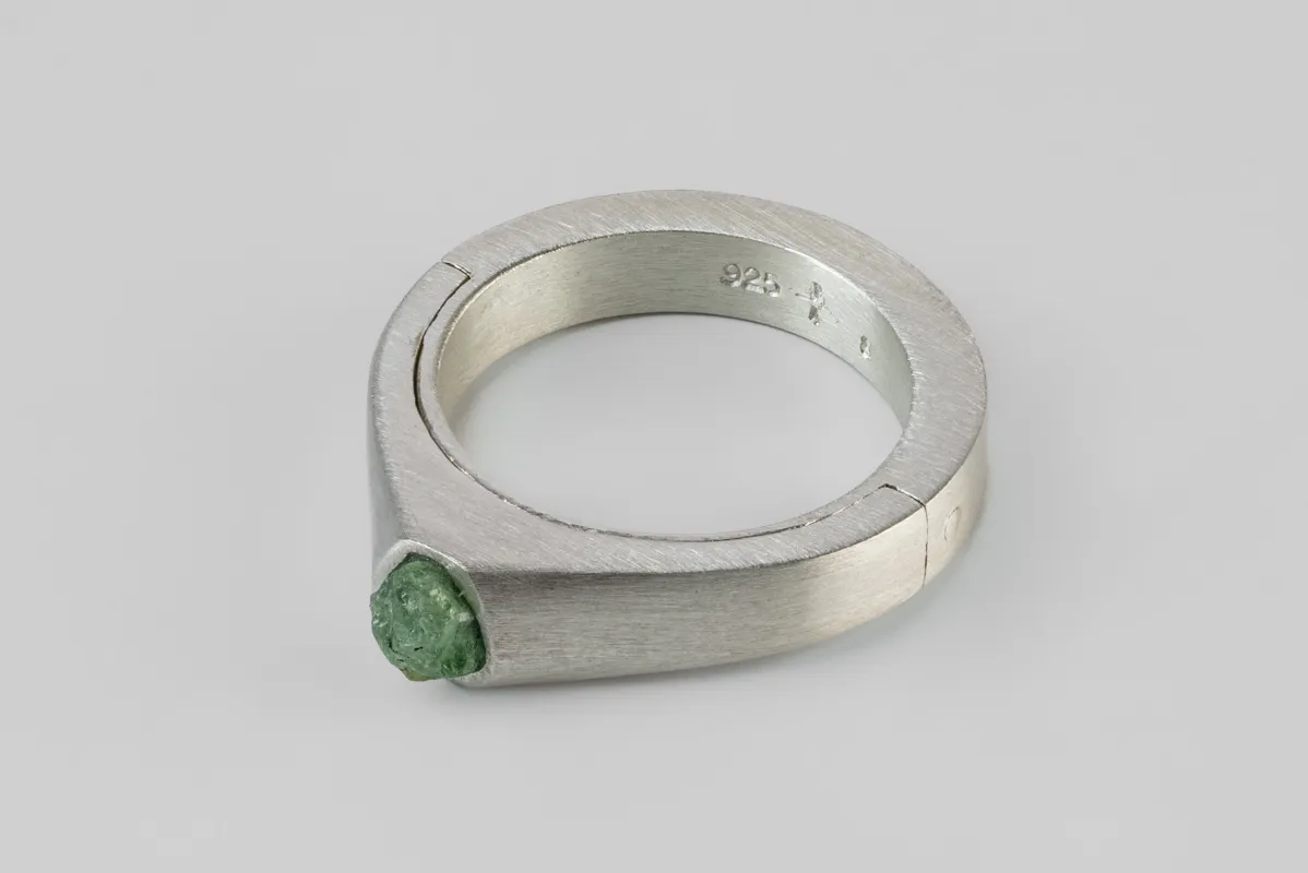 Sistema Ring (Terrestrial Surfaced, Expanded, 4mm, MA+PER) sold by Parts of Four