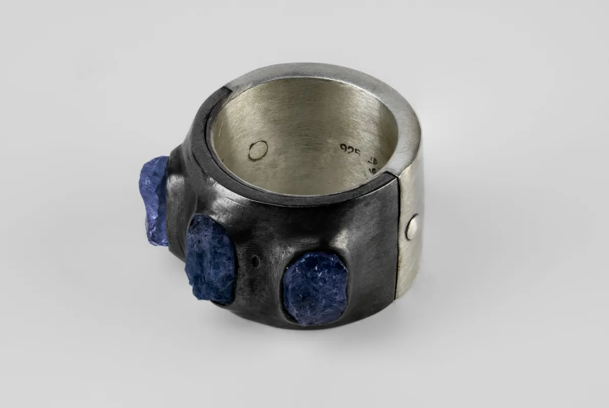 Sistema Ring (Terrestrial Surfaced, 3 Tanzanites, 17mm, MA+KA+TAN) sold by Parts of Four