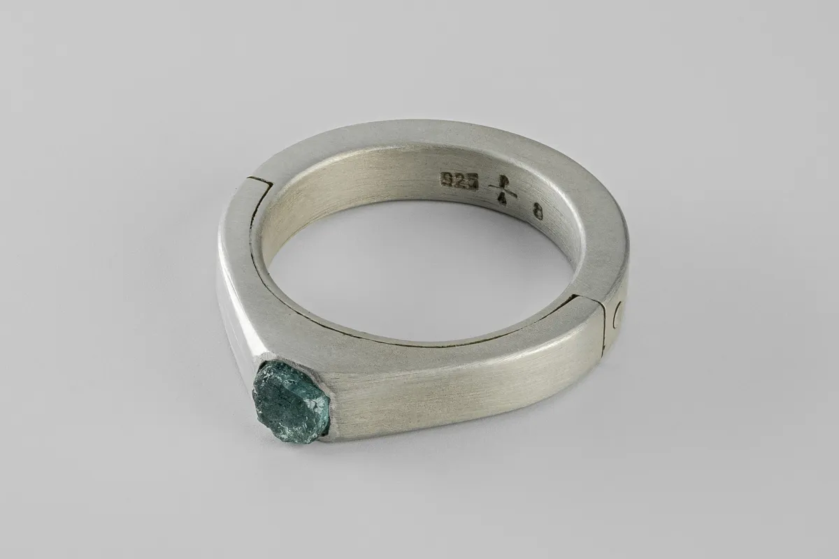 Sistema Ring (Terrestrial Surfaced, Expanded, 4mm, DA+GRAN) sold by Parts of Four