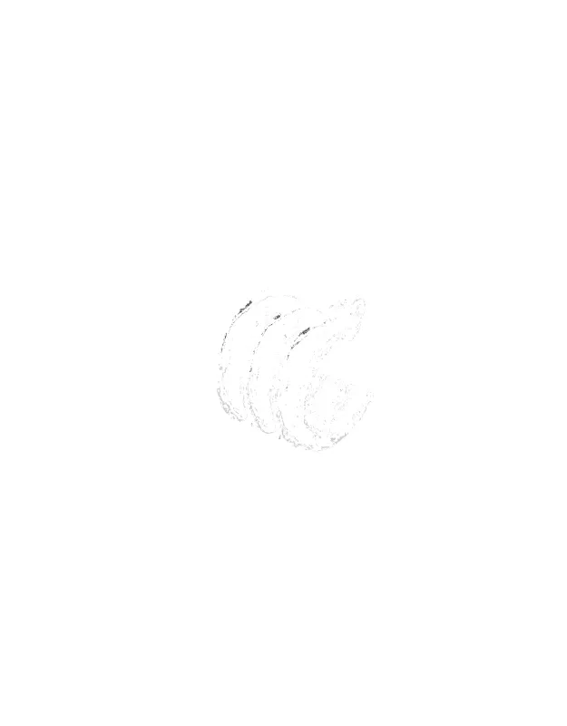 Echo Hoop made by Rezet Store