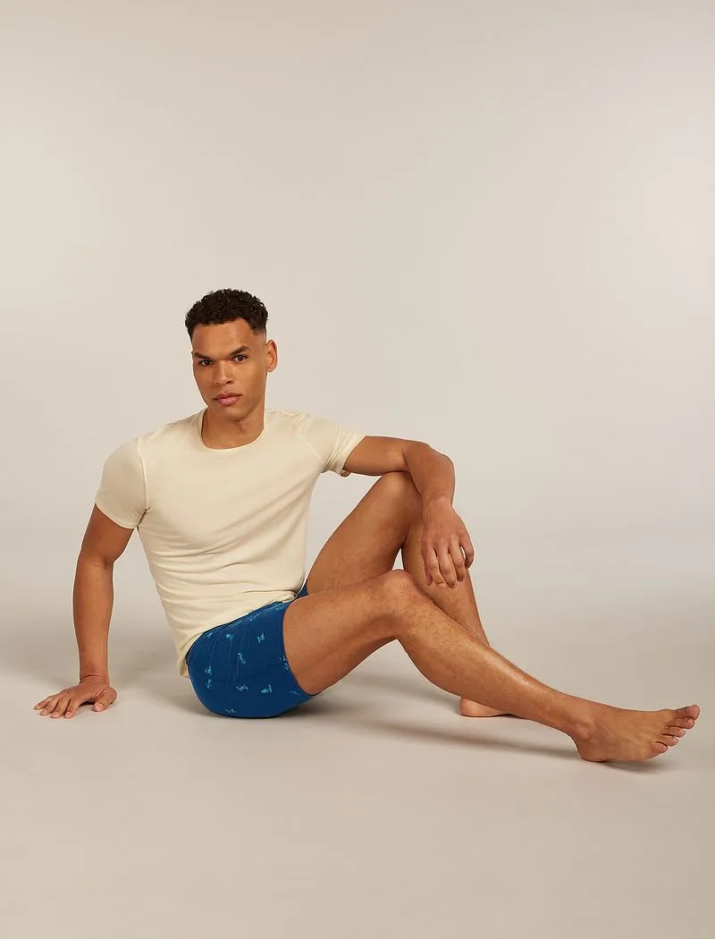 Icebreaker Merino 150 Anatomica Boxers Ski Day - Man - Atlantis/topaz - Size XL sold by Icebreaker product image thumbnail 5