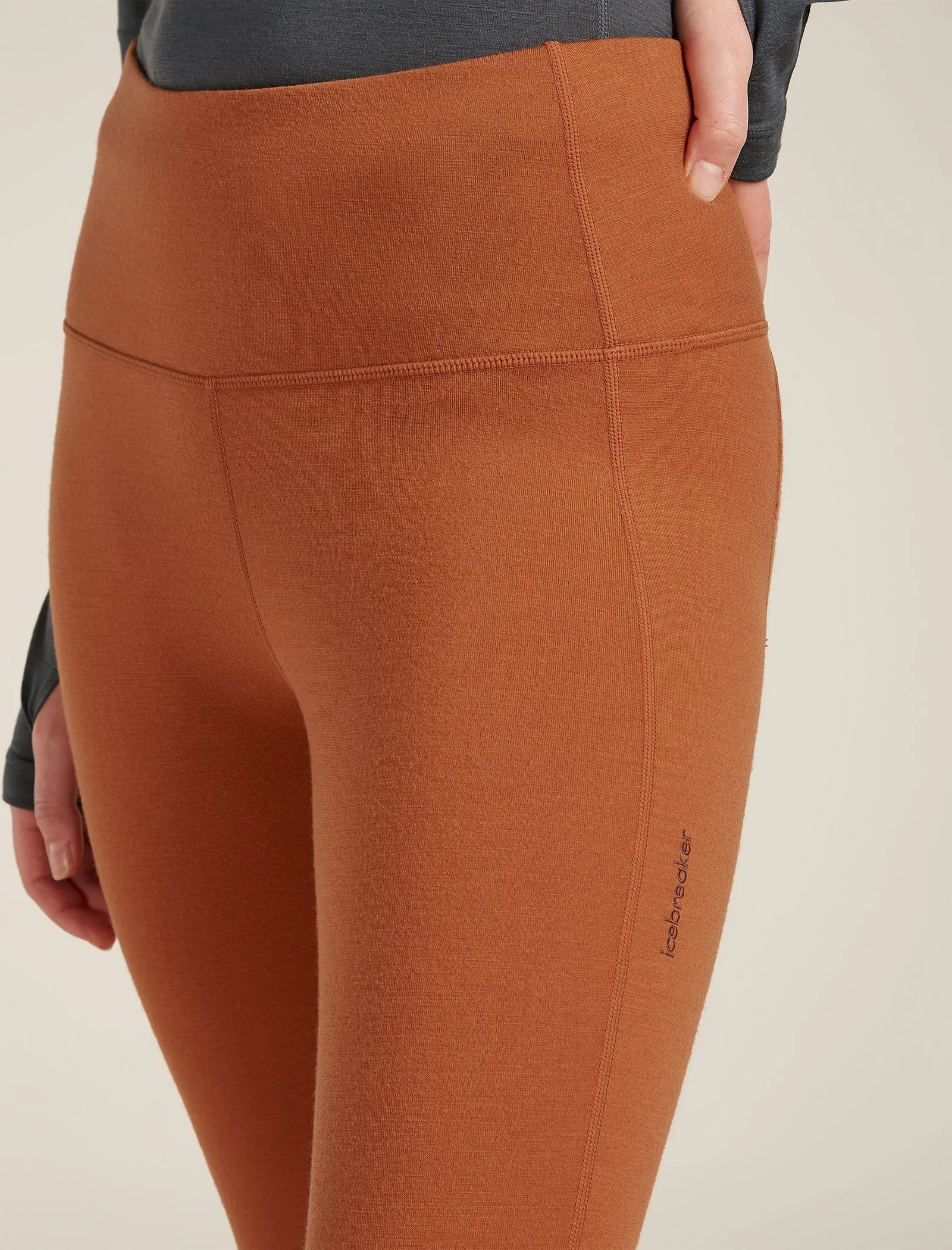 Women's Merino 260 Fastray 25" High Rise Tights sold by Icebreaker product image thumbnail 5