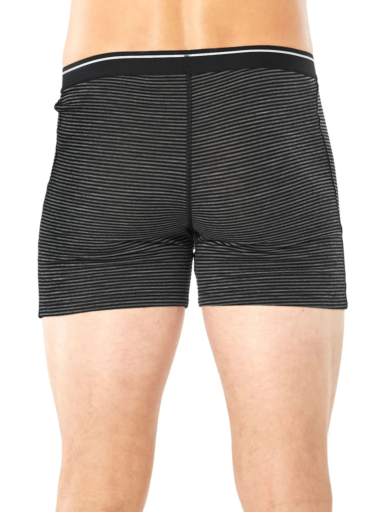 Men's Merino 150 Anatomica Boxers wFly sold by Icebreaker product image thumbnail 3