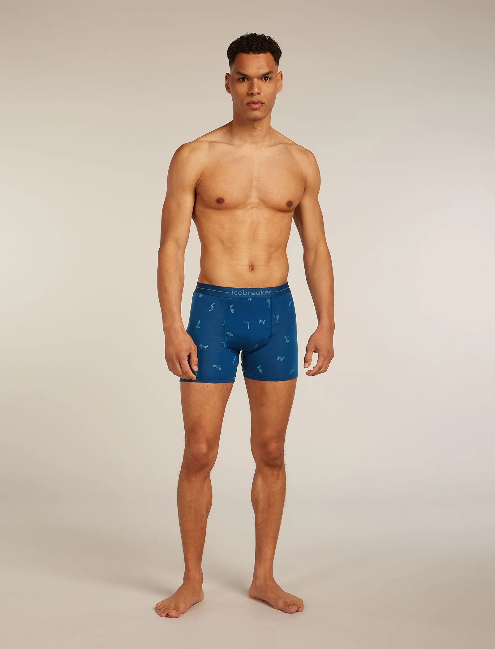 Men's Merino 150 Anatomica Boxers Ski Day sold by Icebreaker product image thumbnail 3