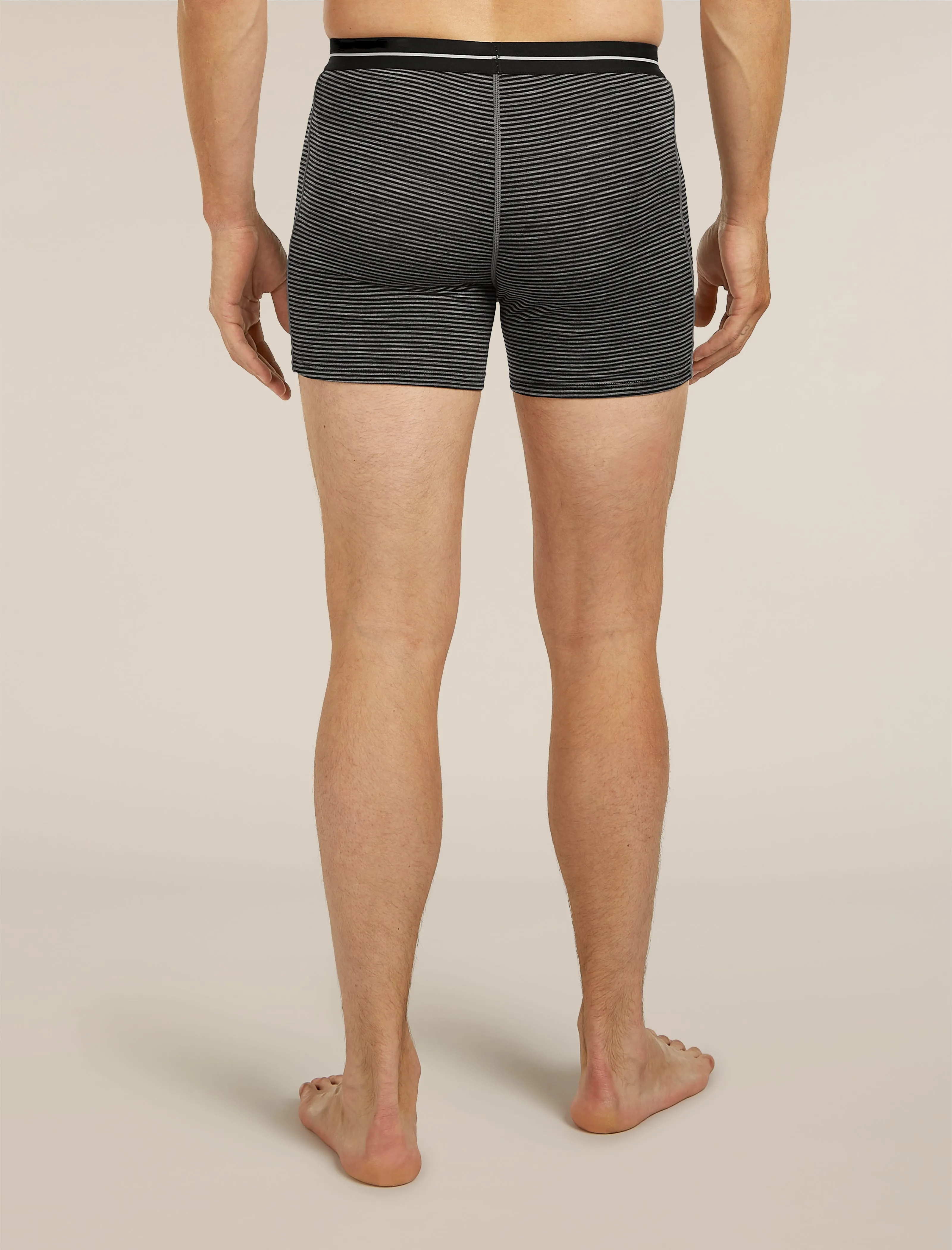 Men's Merino 150 Anatomica Boxers sold by Icebreaker product image thumbnail 2