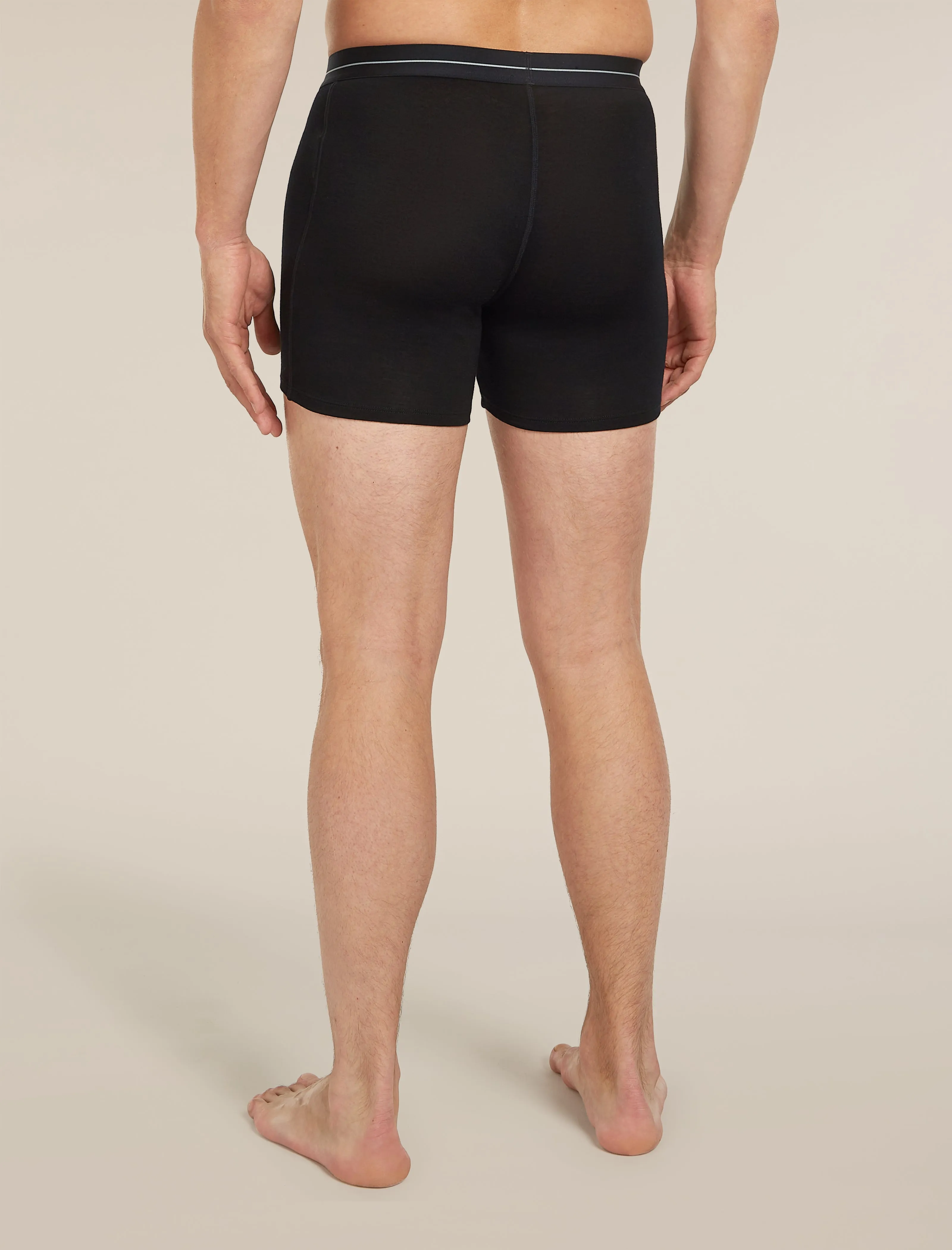 Men's Merino 150 Anatomica Boxers wFly sold by Icebreaker product image thumbnail 2