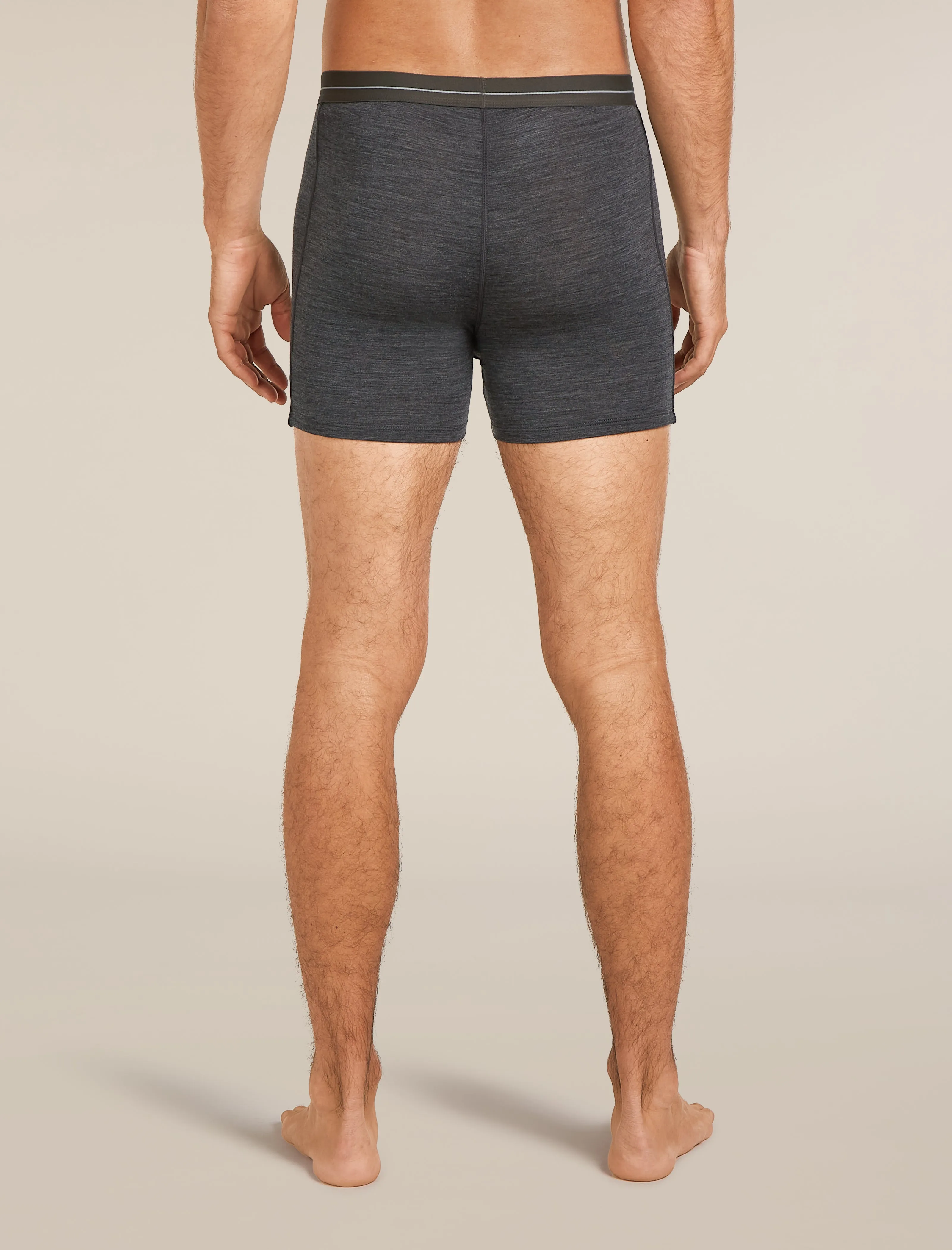 Men's Merino 150 Anatomica Boxers wFly sold by Icebreaker product image thumbnail 2