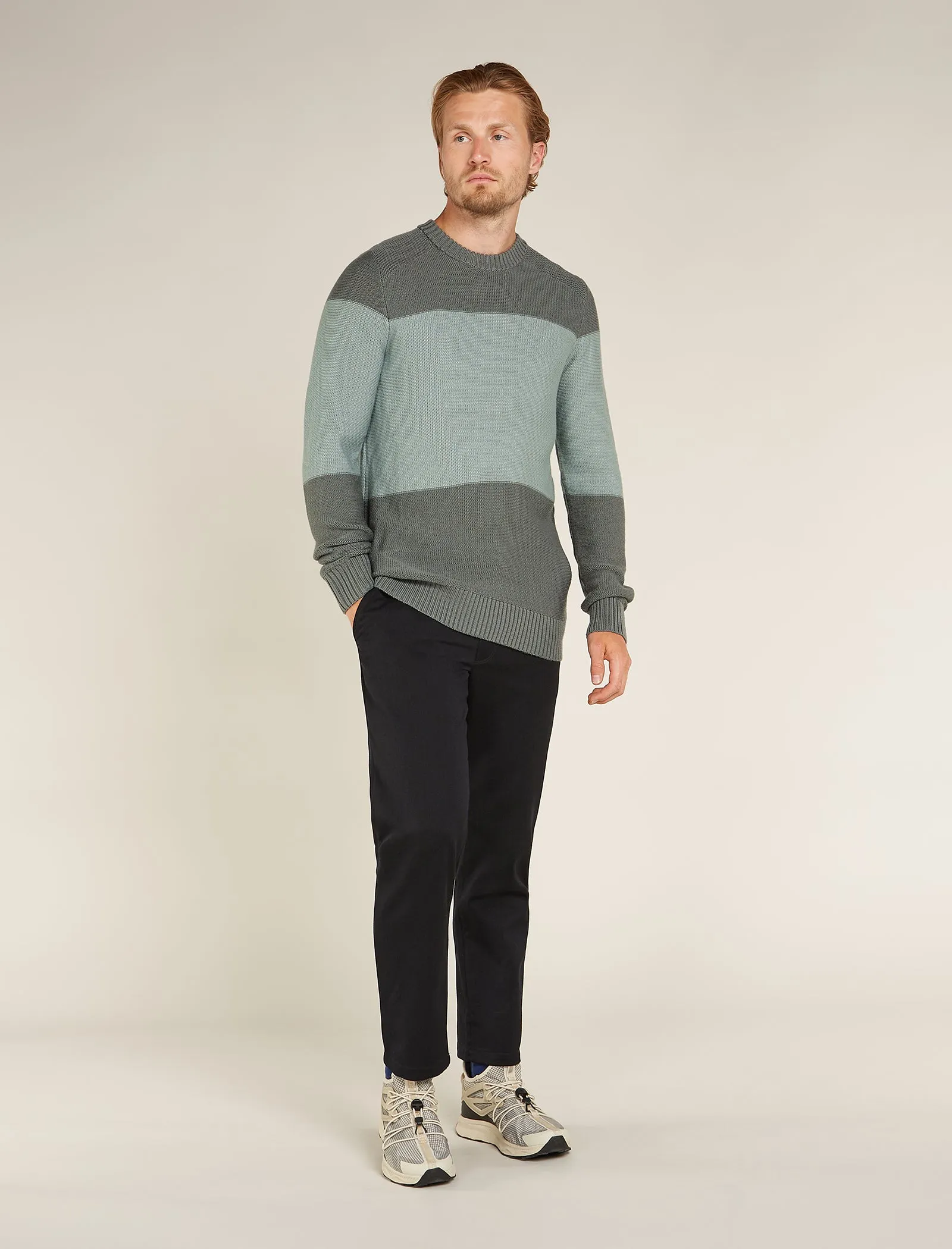 Men's Waypoint Crewe Sweater sold by Icebreaker product image thumbnail 3