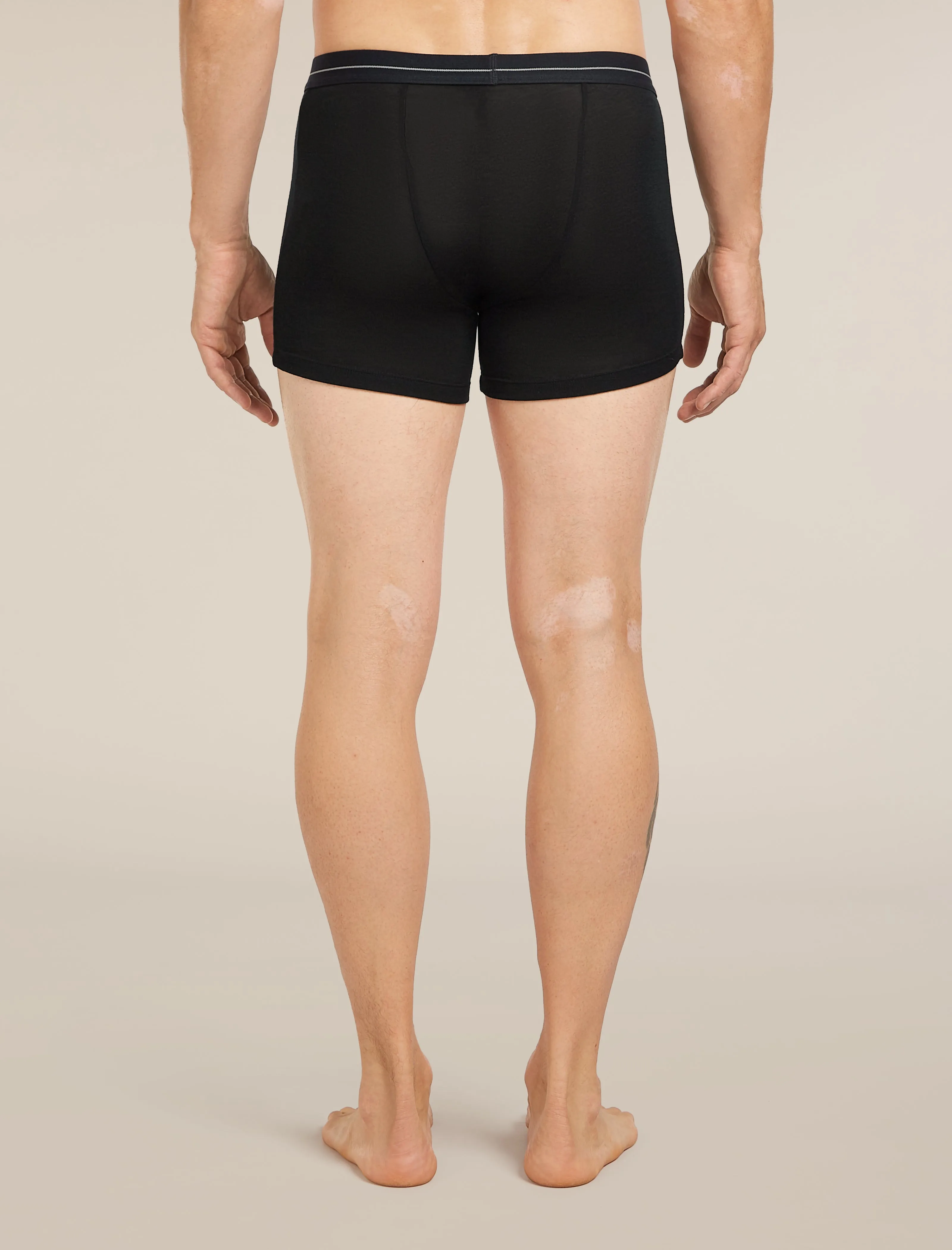 Men's Men's Merino 175 Everyday Thermal Boxers wFly sold by Icebreaker product image thumbnail 2