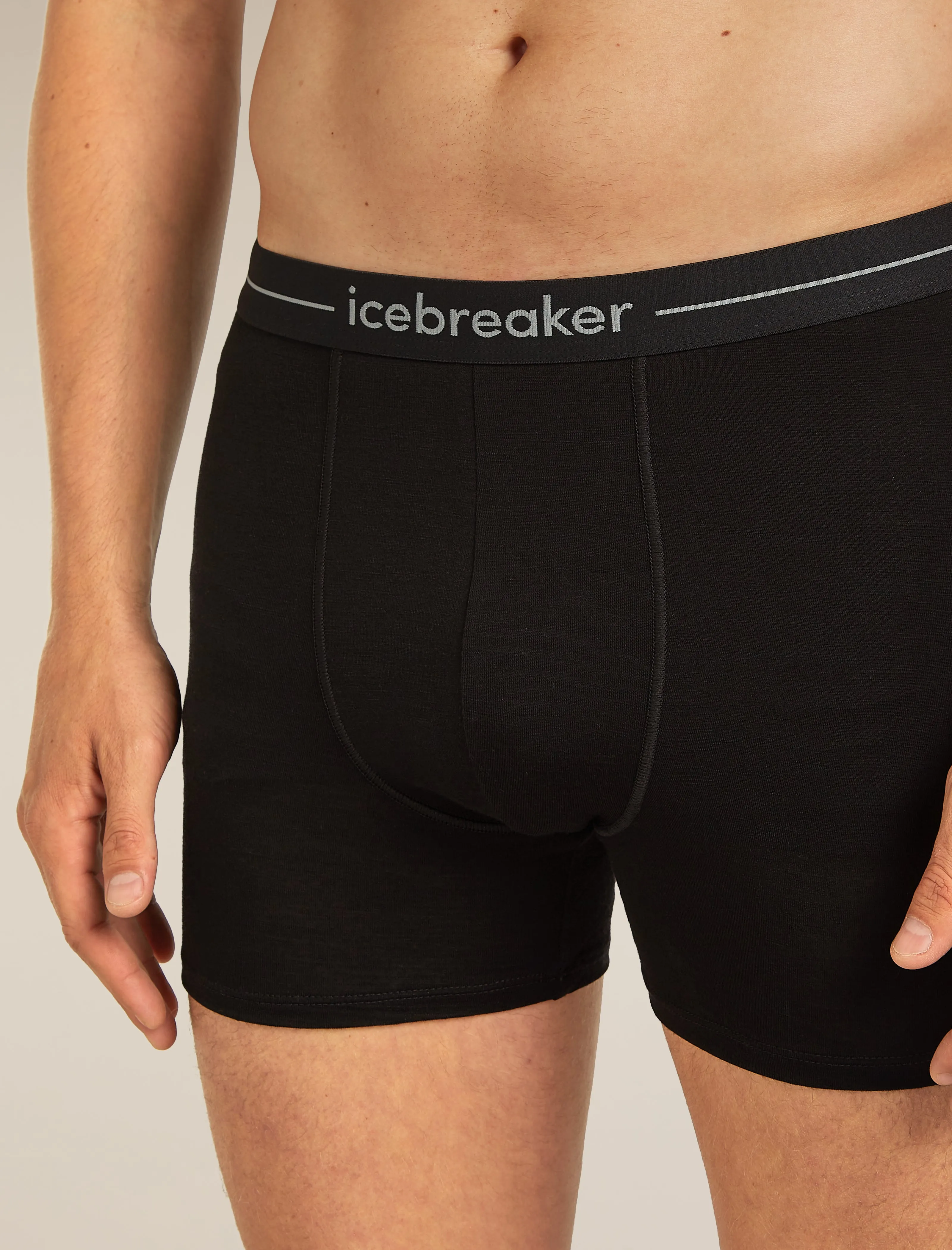 Men's Merino 150 Anatomica Boxers sold by Icebreaker product image thumbnail 4