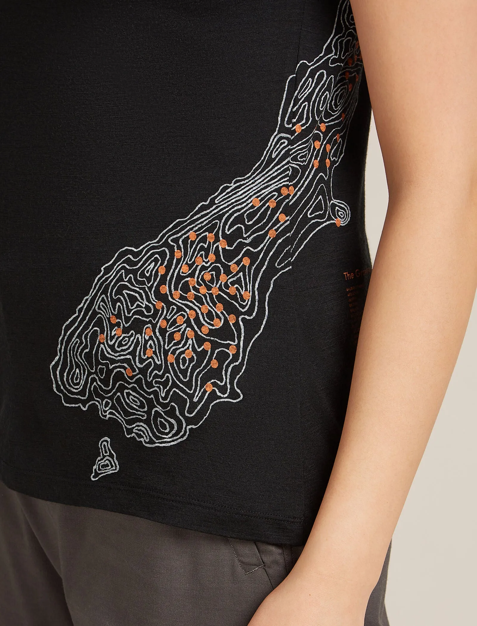 Women's Merino 150 Tech Lite Short Sleeve Scoop T-Shirt 30th Anniversary sold by Icebreaker product image thumbnail 5