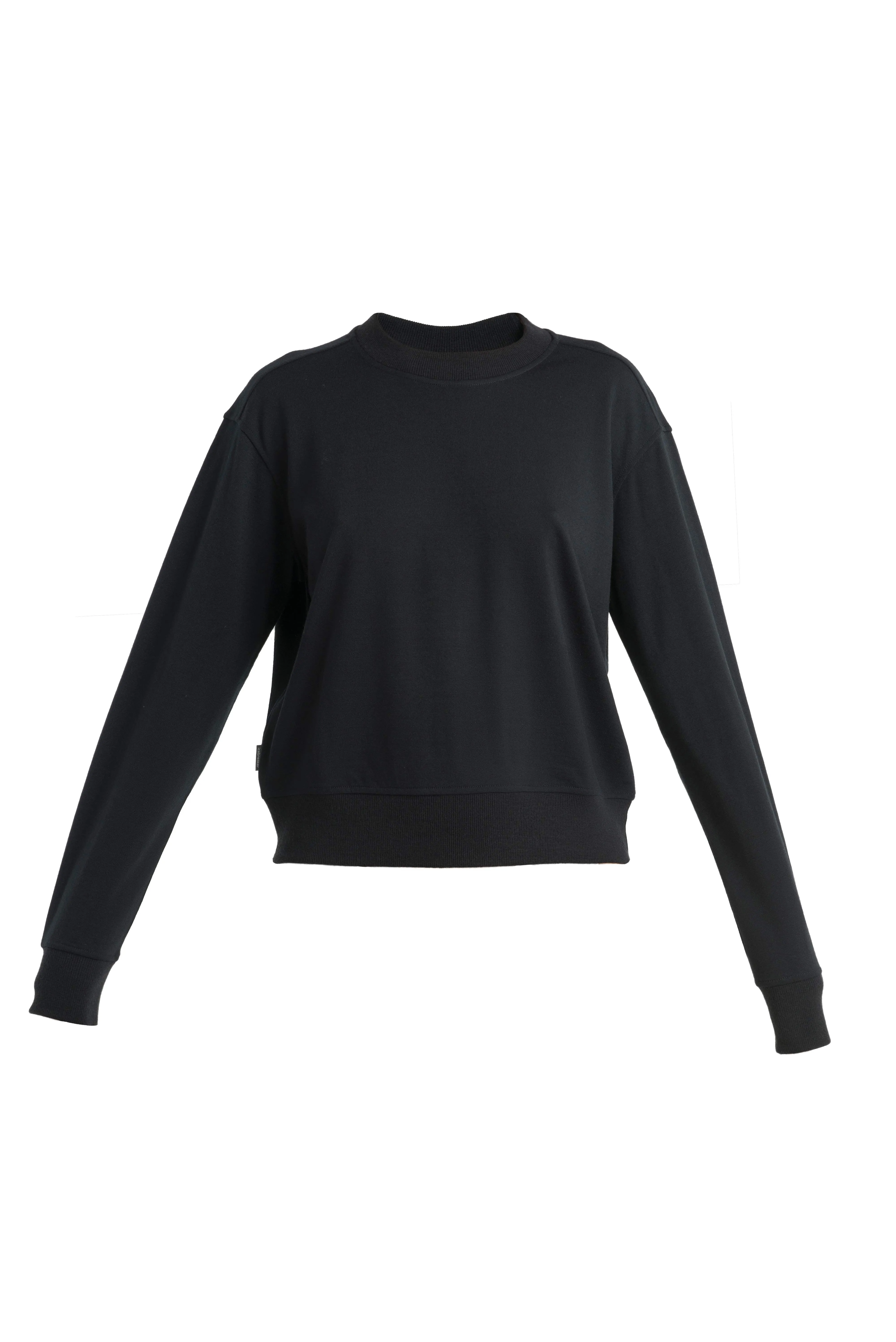 Women's Merino Blend 200 Crush Long Sleeve Sweatshirt sold by Icebreaker product image thumbnail 4