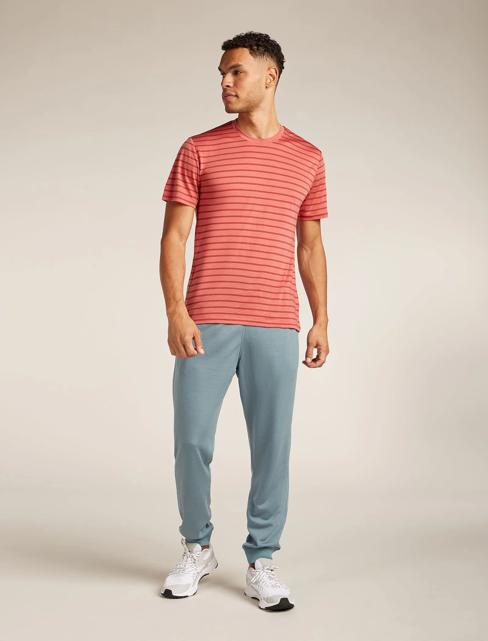 Men's Merino Blend Drayden Short Sleeve T-Shirt Stripe sold by Icebreaker product image thumbnail 3