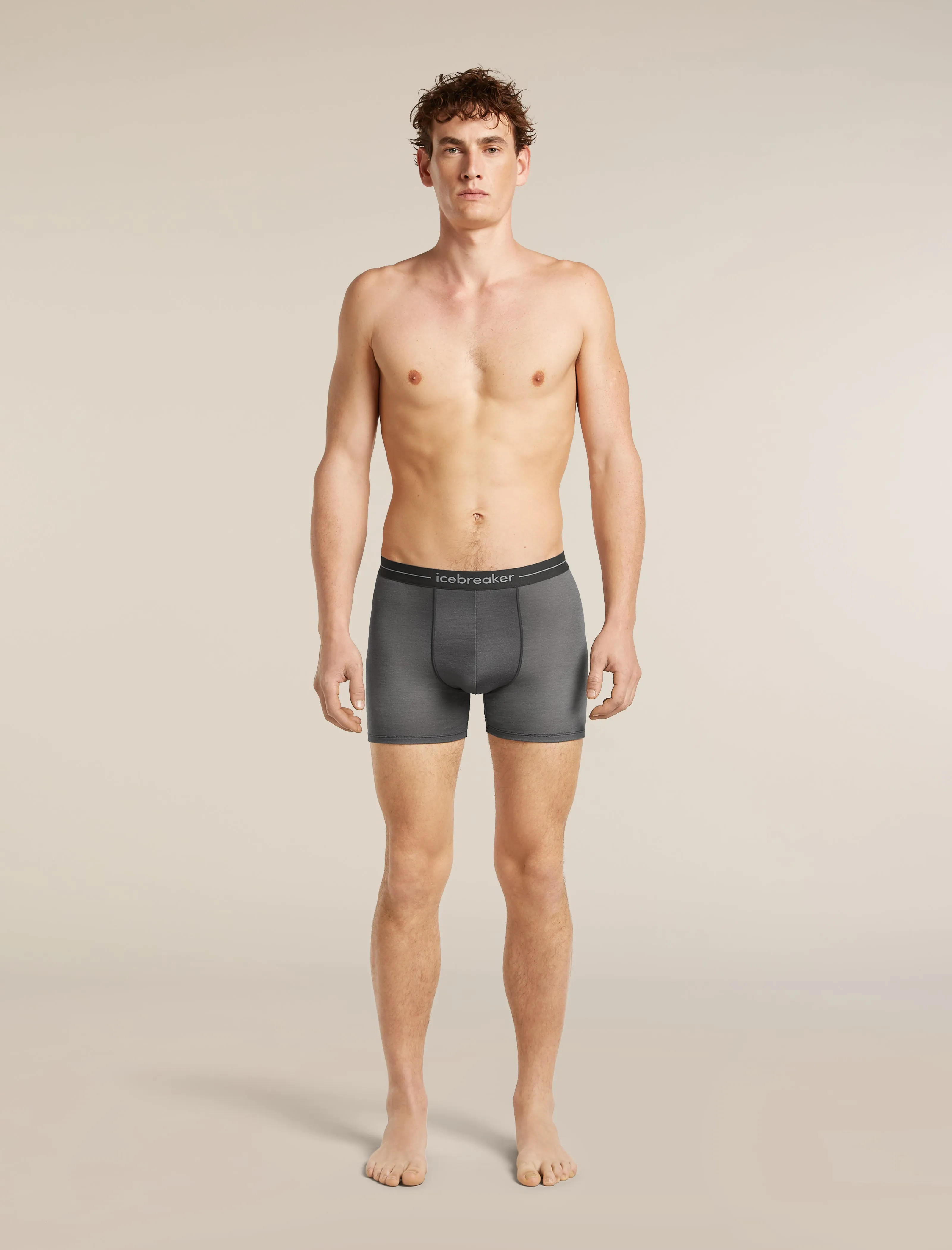 Men's Merino 150 Anatomica Boxers Transition sold by Icebreaker product image thumbnail 3