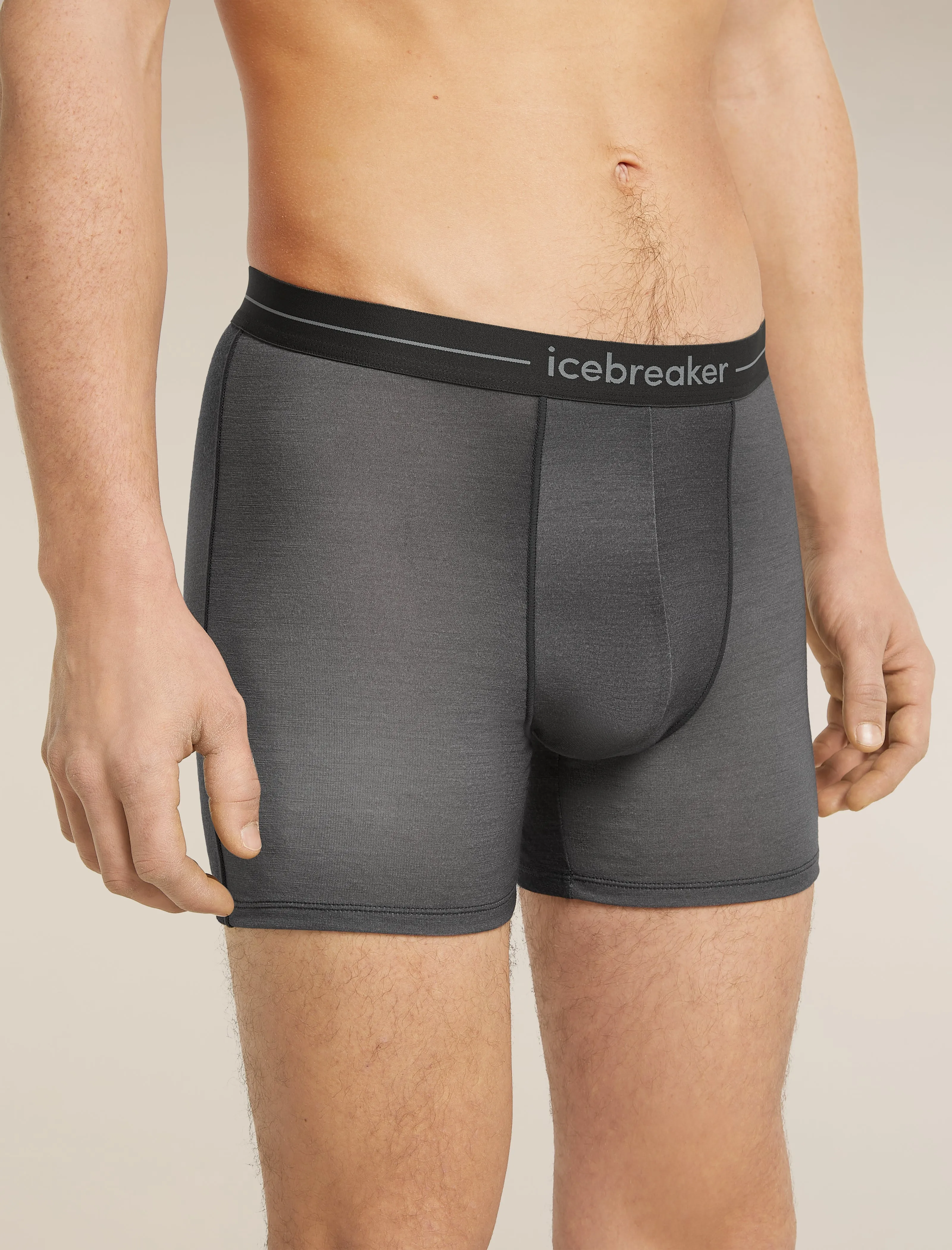Men's Merino 150 Anatomica Boxers Transition sold by Icebreaker product image thumbnail 4
