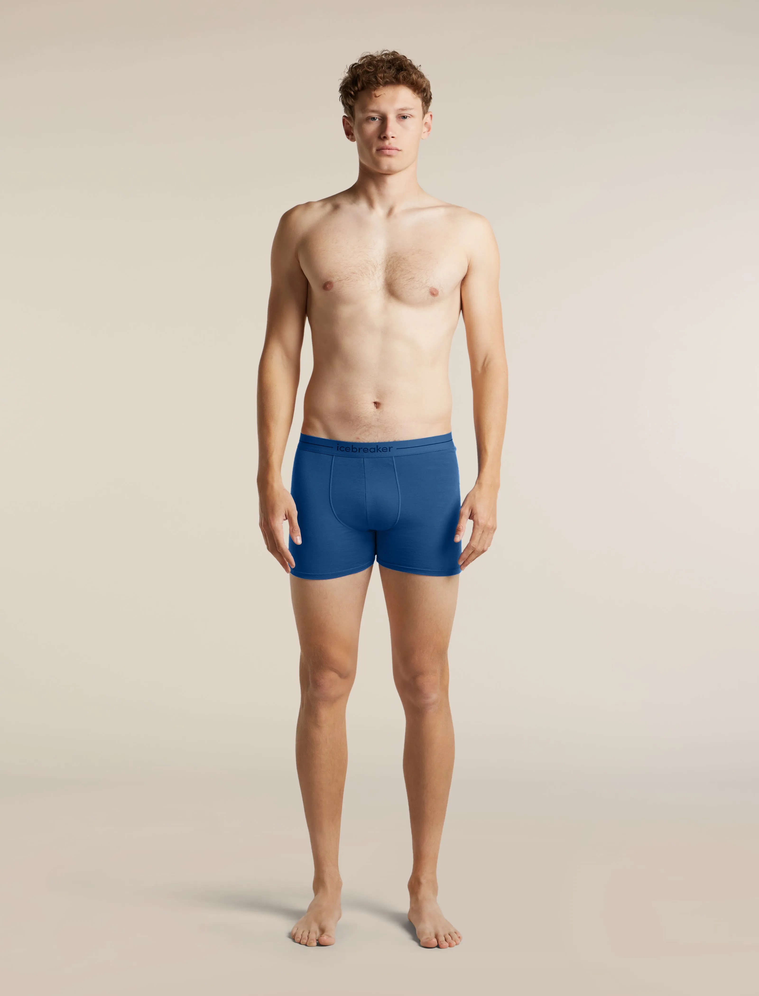 Men's Merino 150 Anatomica Boxers sold by Icebreaker product image thumbnail 3