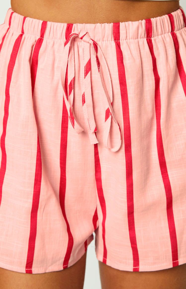 Evah Pink Stripe Short sold by Beginning Boutique product image thumbnail 7