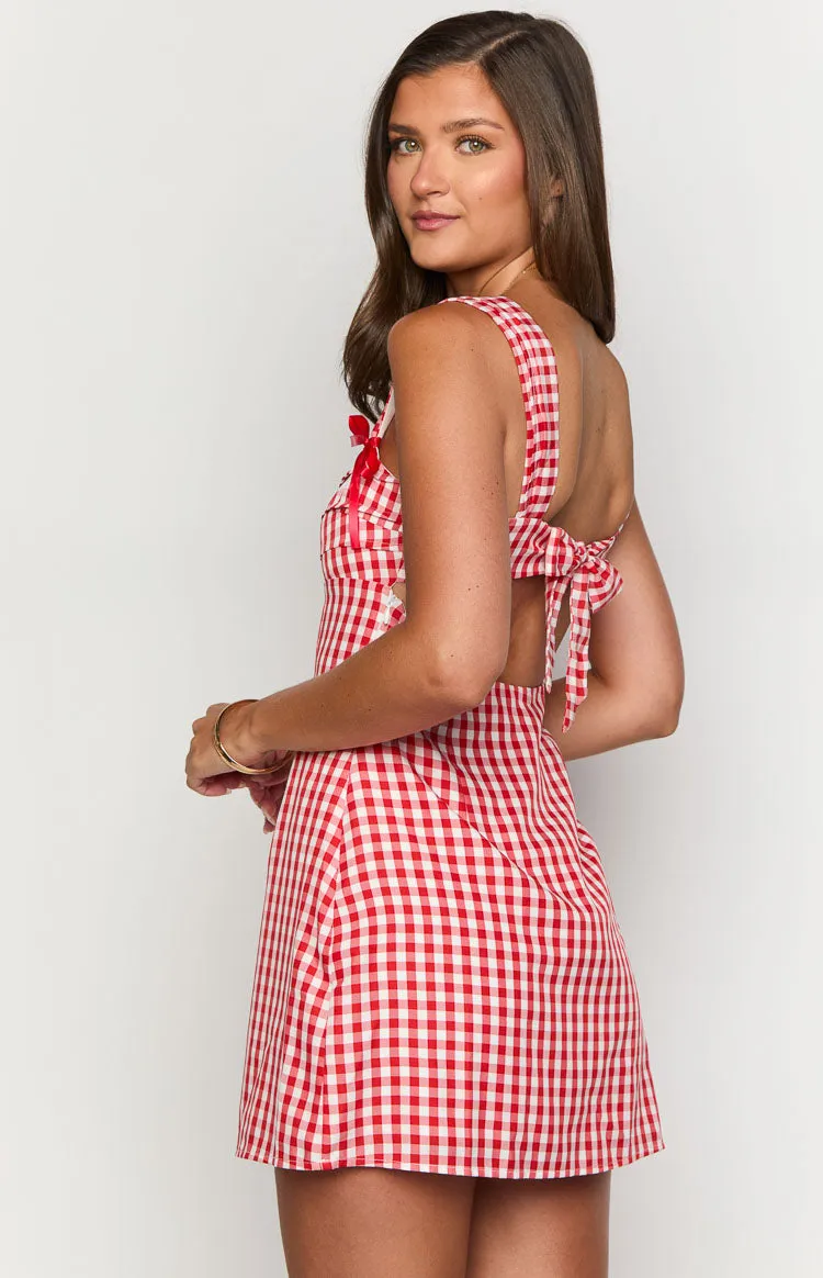 Layla Red Gingham Tie Back Mini Dress sold by Beginning Boutique product image thumbnail 5