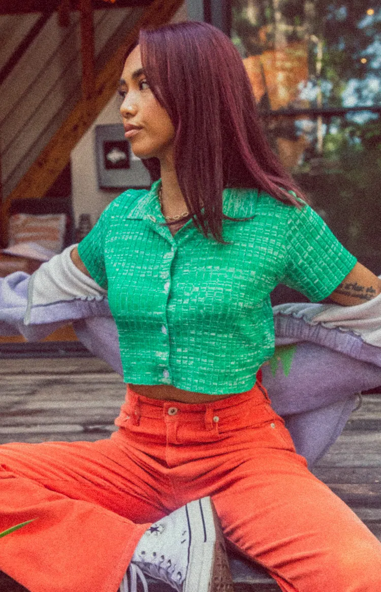 Beth Knit Polo Green sold by Beginning Boutique product image thumbnail 2