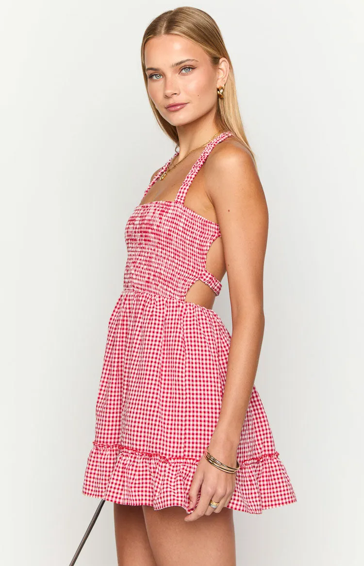 Oppolo Red Gingham Mini Dress sold by Beginning Boutique product image thumbnail 4
