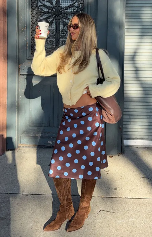 Charlize Brown and Blue Polka Dot Midi Skirt sold by Beginning Boutique