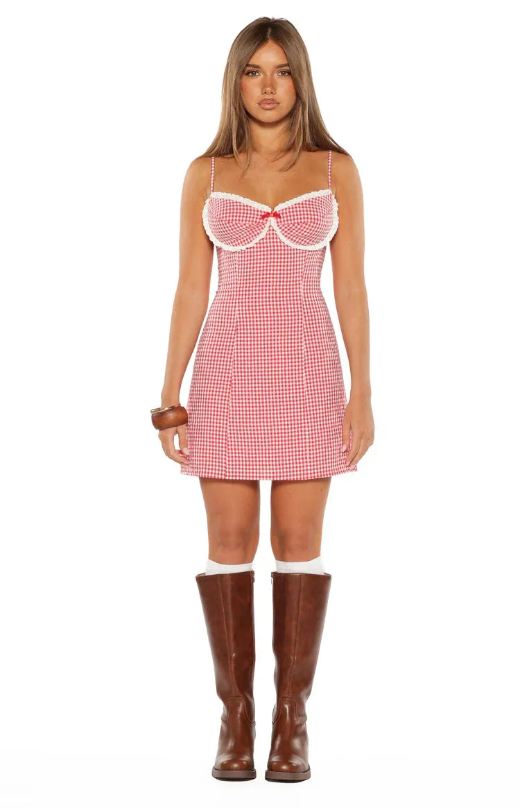 Please Red Gingham Mini Dress sold by Beginning Boutique product image thumbnail 5