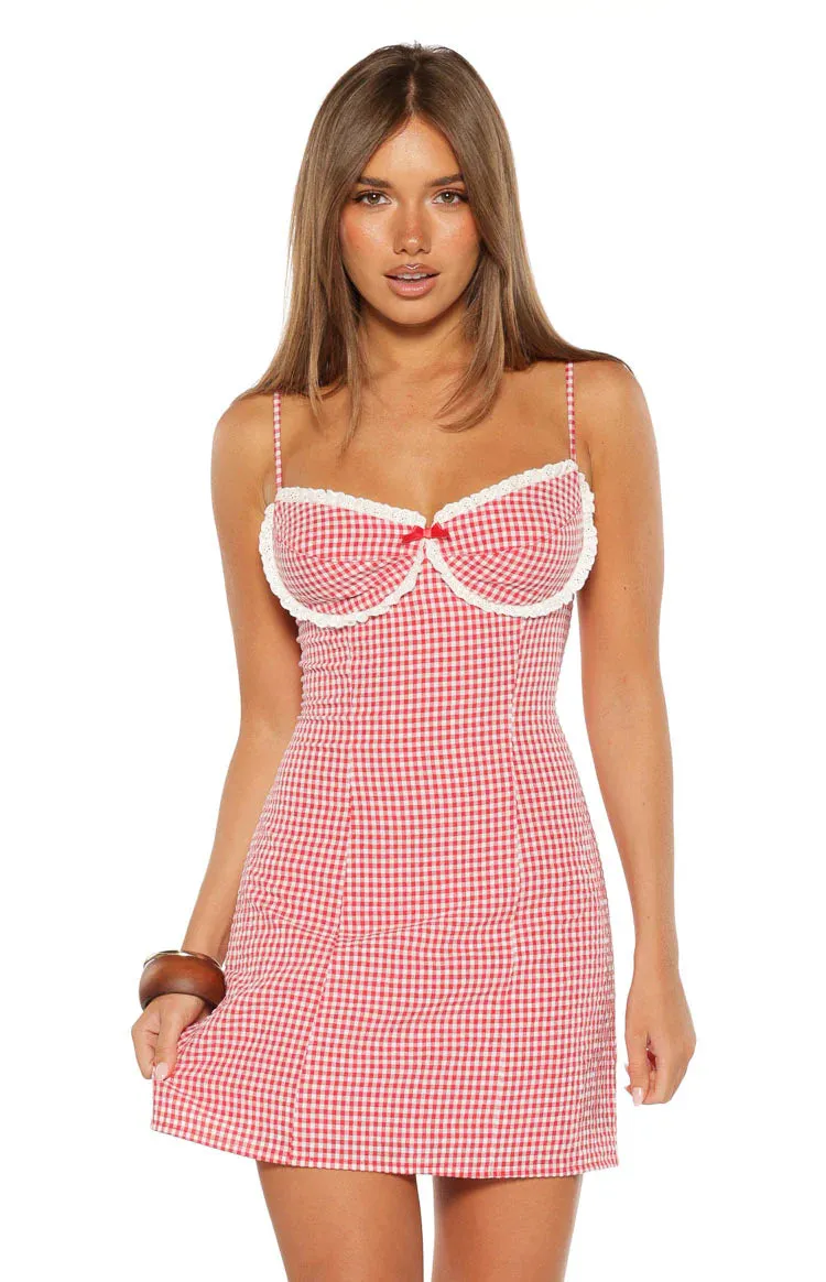 Please Red Gingham Mini Dress sold by Beginning Boutique product image thumbnail 2