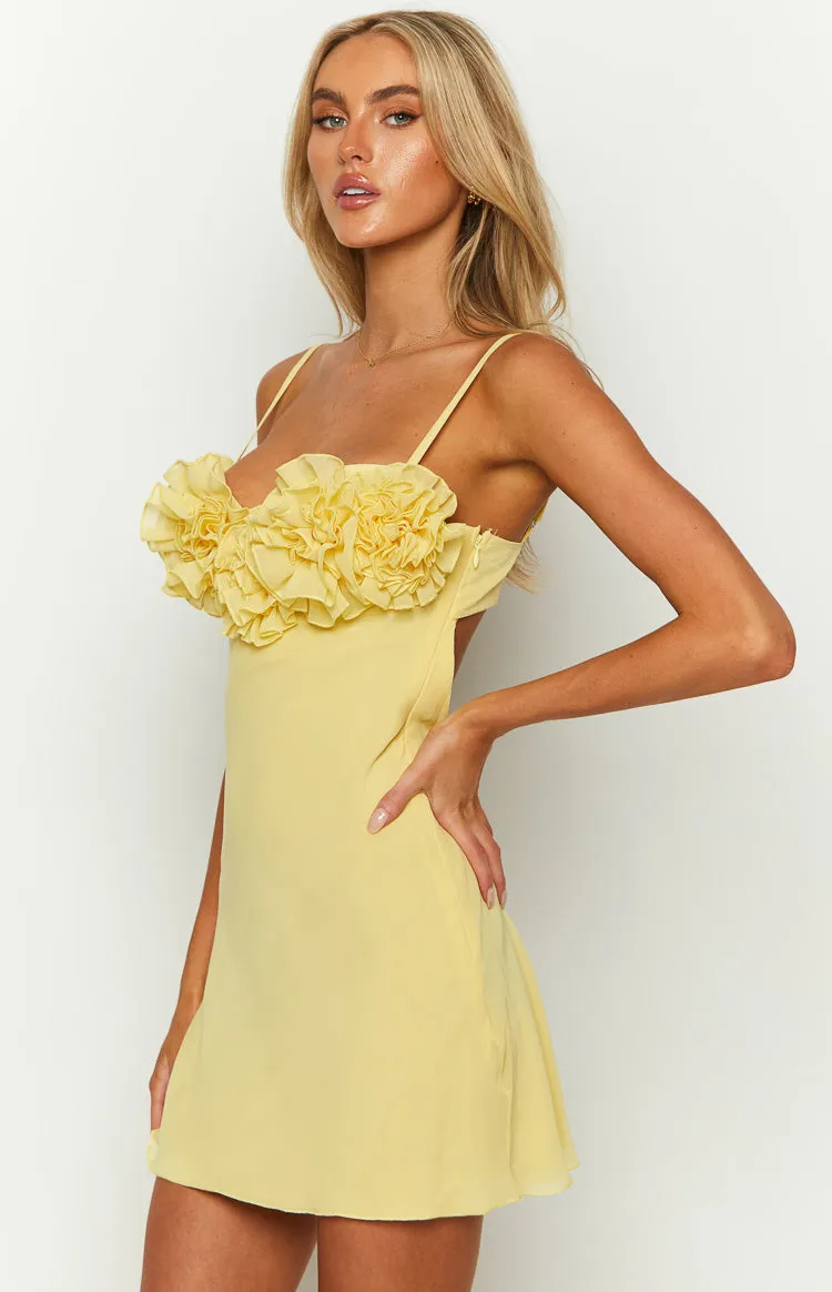 Sindy Yellow Mini Dress sold by Beginning Boutique product image thumbnail 4