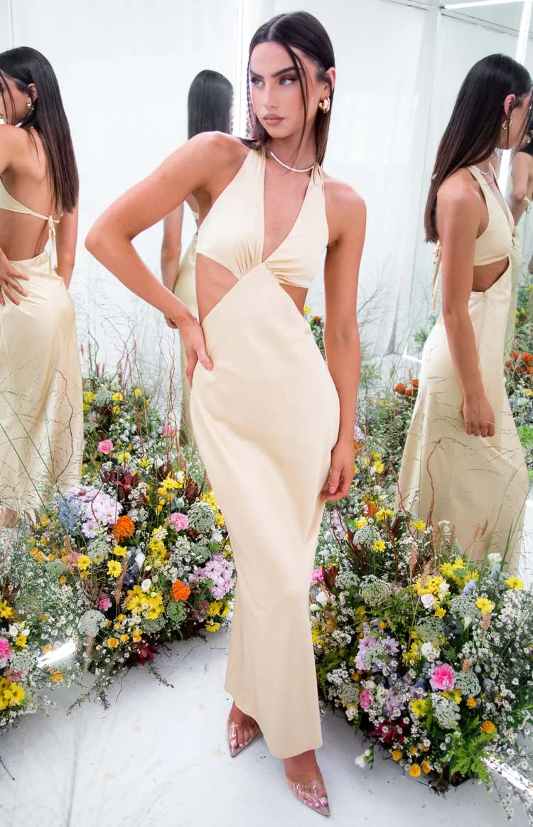 Orchid Champagne Maxi Dress sold by Beginning Boutique product image thumbnail 3