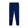 Nike x Drake NOCTA Cardinal Stock Pants Navy sold by PLUS
