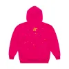 Spider Worldwide Punk V2 Hoodie Pink sold by PLUS
