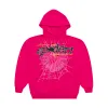 Spider Worldwide Punk V2 Hoodie Pink sold by PLUS