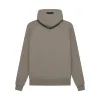 FOG Essentials Hoodie Desert Taupe sold by PLUS