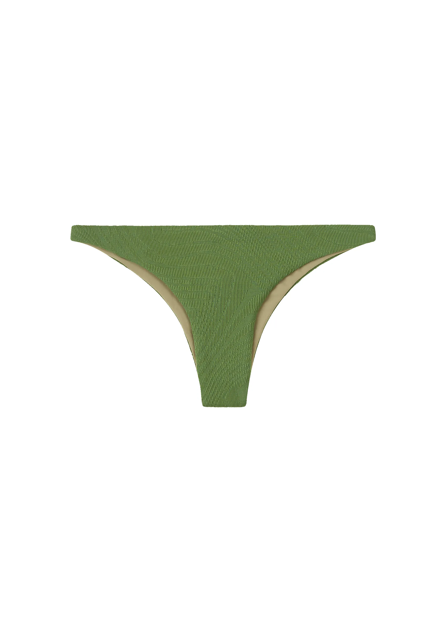 Mr Smith Bottom | Cactus sold by Fella