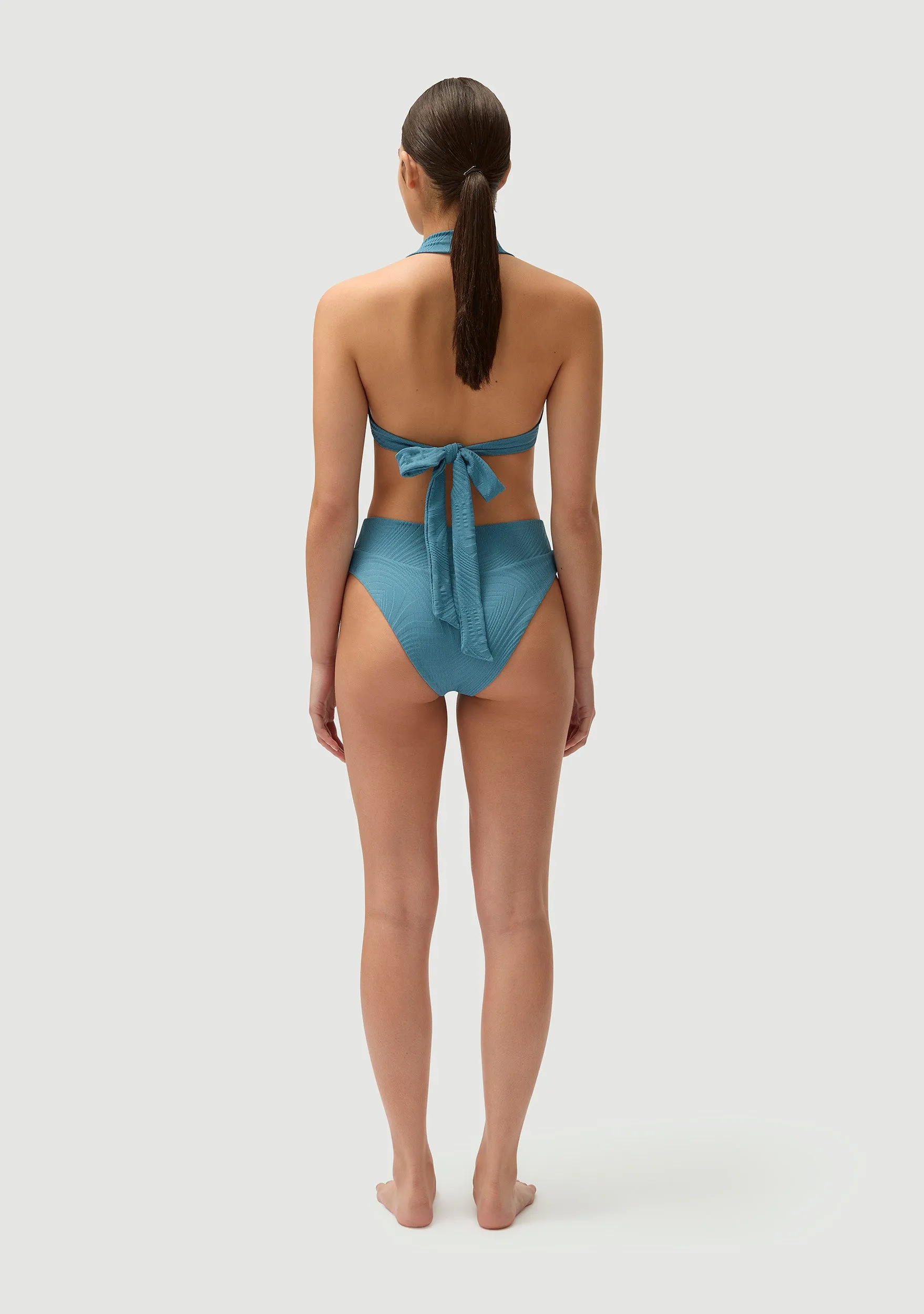 Herbie Bottom | Hydrangea sold by Fella product image thumbnail 5