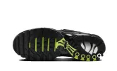 Nike Air Max Plus Black Volt Silver sold by Addict Sneakers