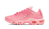 Nike Air Max Plus Atlanta sold by Addict Sneakers