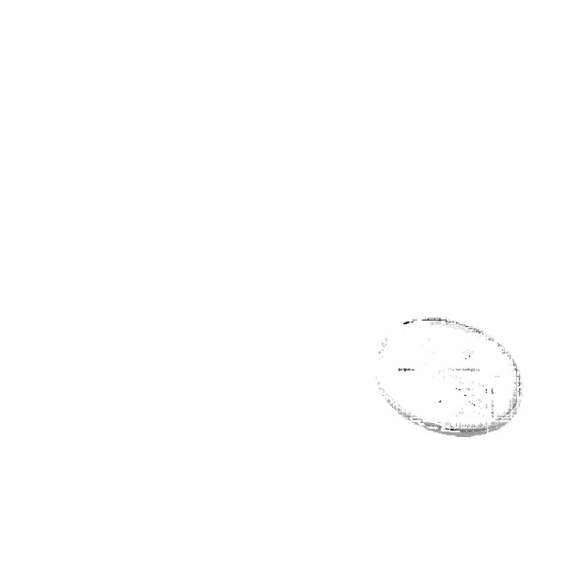 Aethera Burst Pendant Necklace sold by Aethera