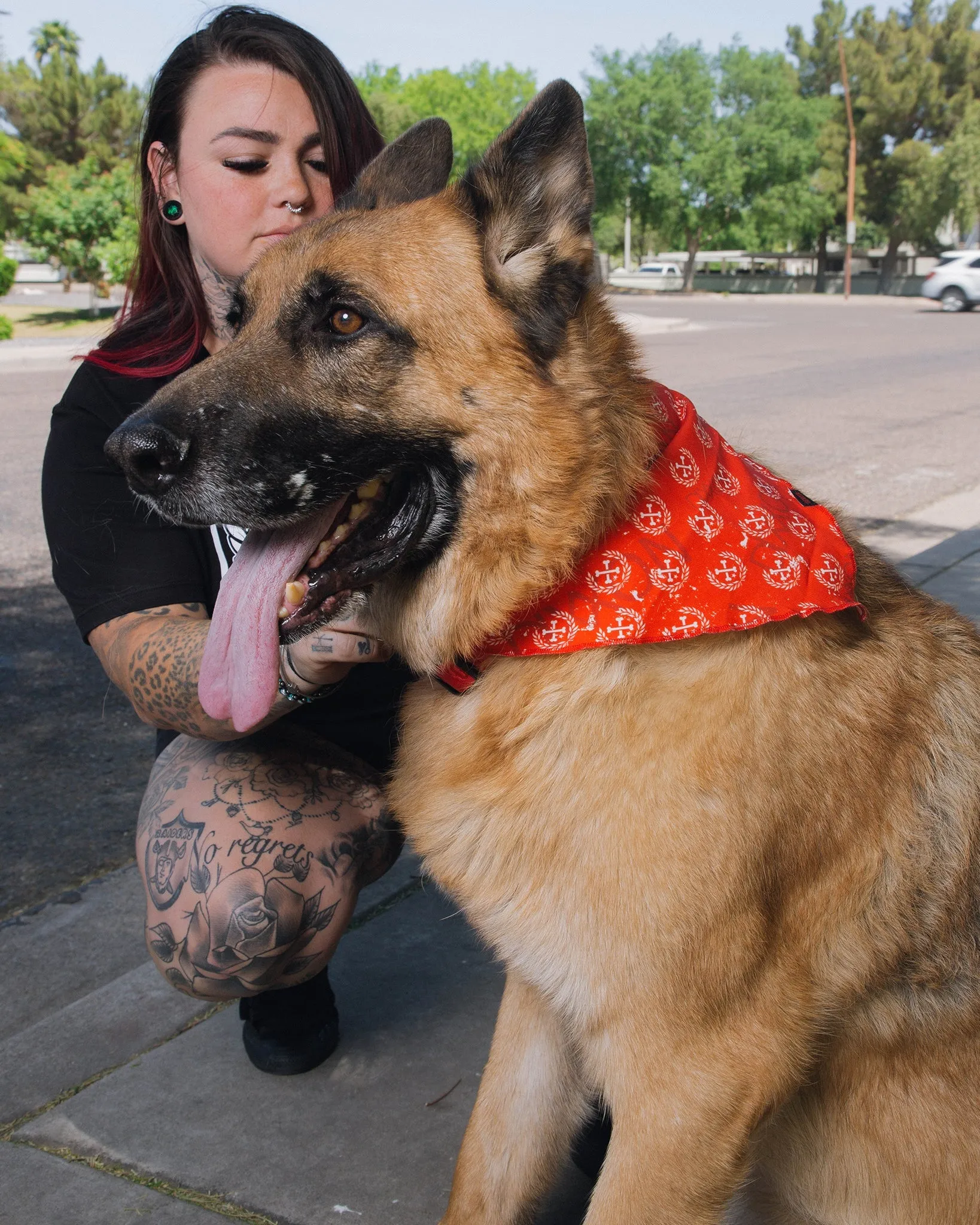 Dixxon Dog Bandana - Red sold by Dixxon product image thumbnail 3