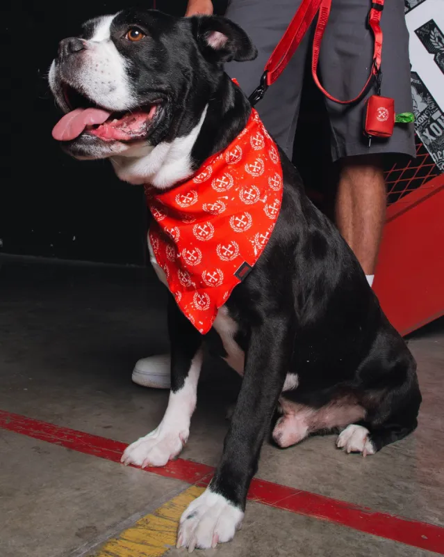 Dixxon Dog Bandana - Red sold by Dixxon