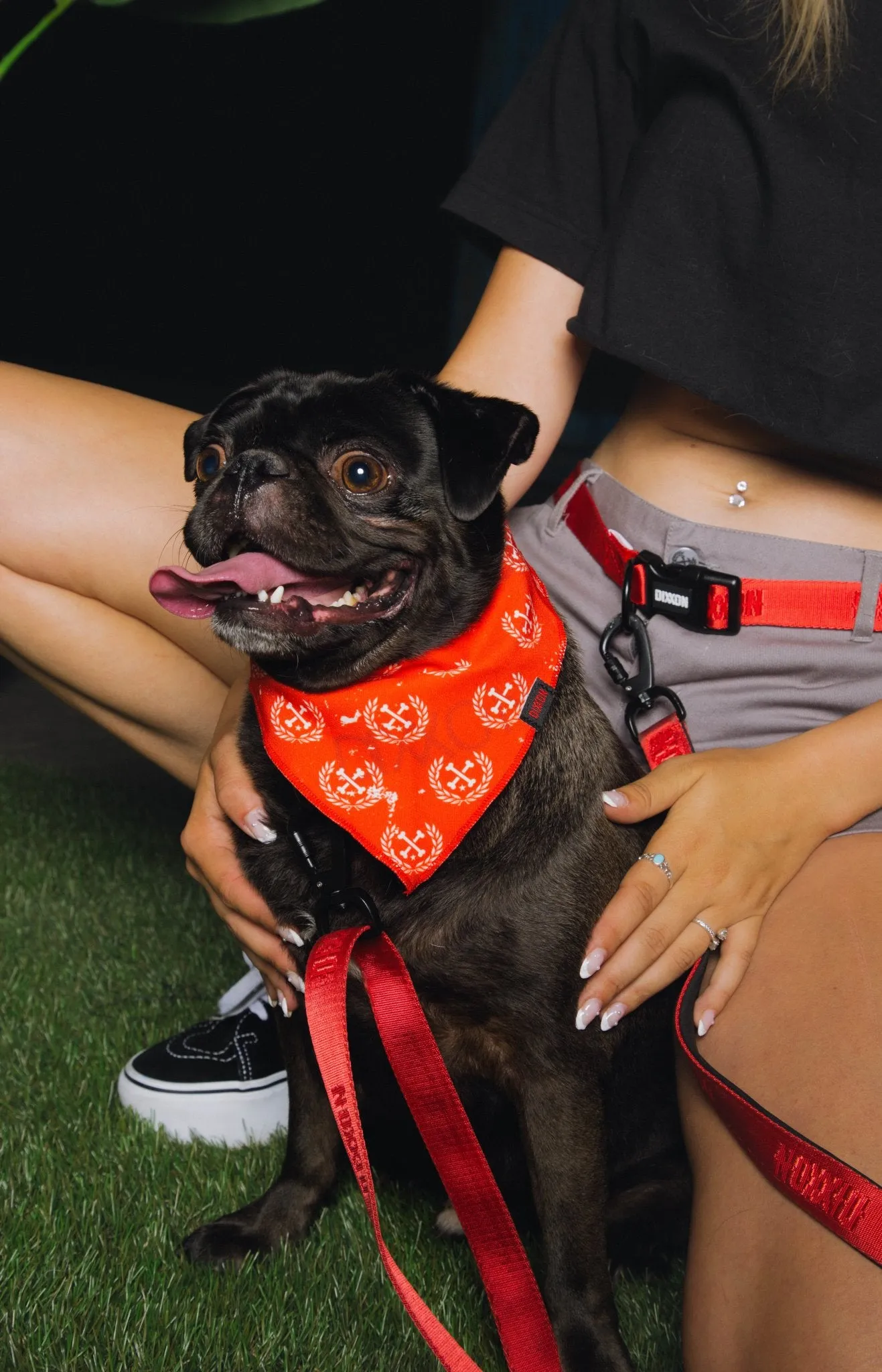 Dixxon Dog Bandana - Red sold by Dixxon product image thumbnail 2