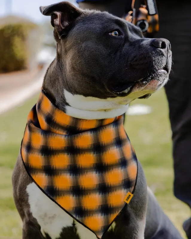 Dog Bandana - My Brother's Keeper sold by Dixxon