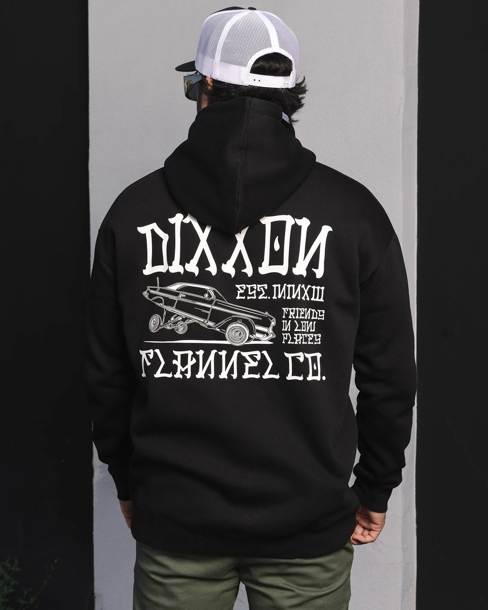 White Stink Bug Pullover Hoodie - Black sold by Dixxon