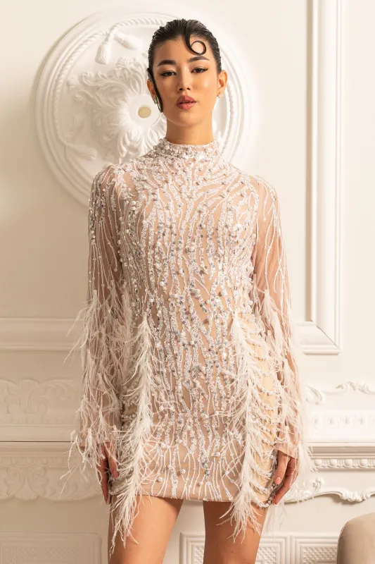 Long Sleeved Sheer Dress With Sequin Embellishments And Feather Accents - Beige made by Sierra darien