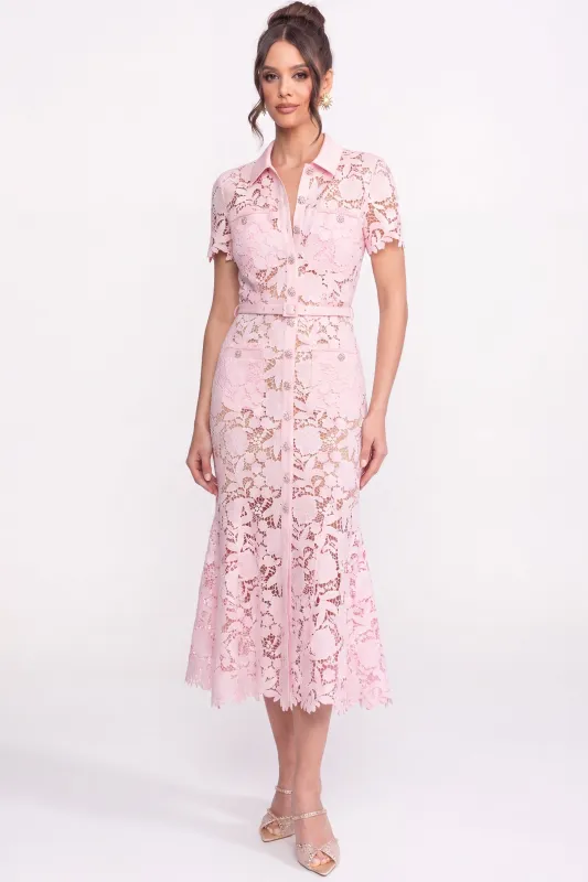 Lace Short Sleeve Midi Dress With Collared Neckline And Belted Waist - Pink made by Sierra darien