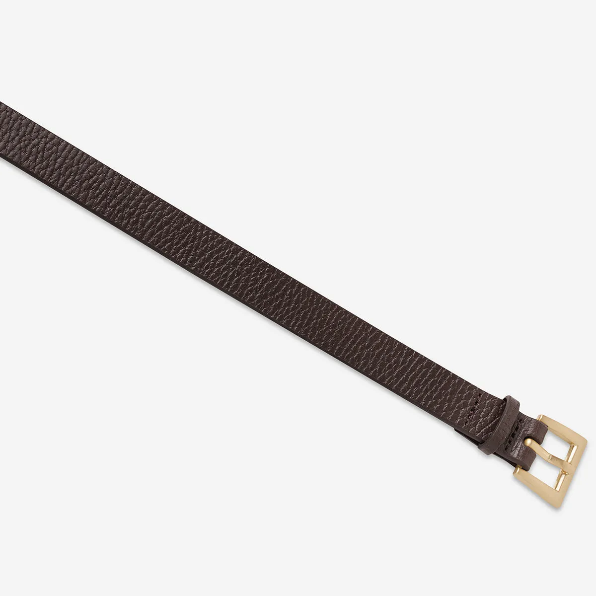 Part Of Me Belt - Choc/Gold sold by Status Anxiety product image thumbnail 3