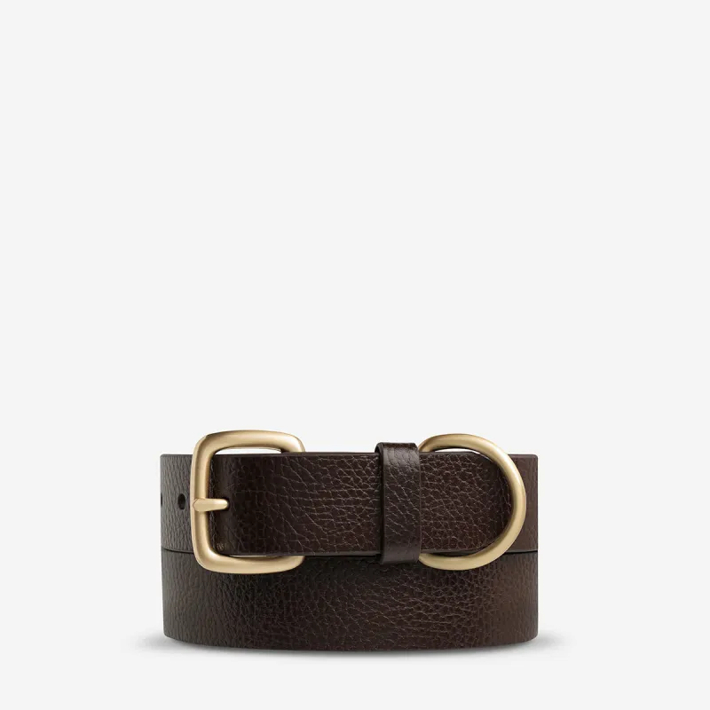 Disarm Belt - Choc/Gold made by Status Anxiety