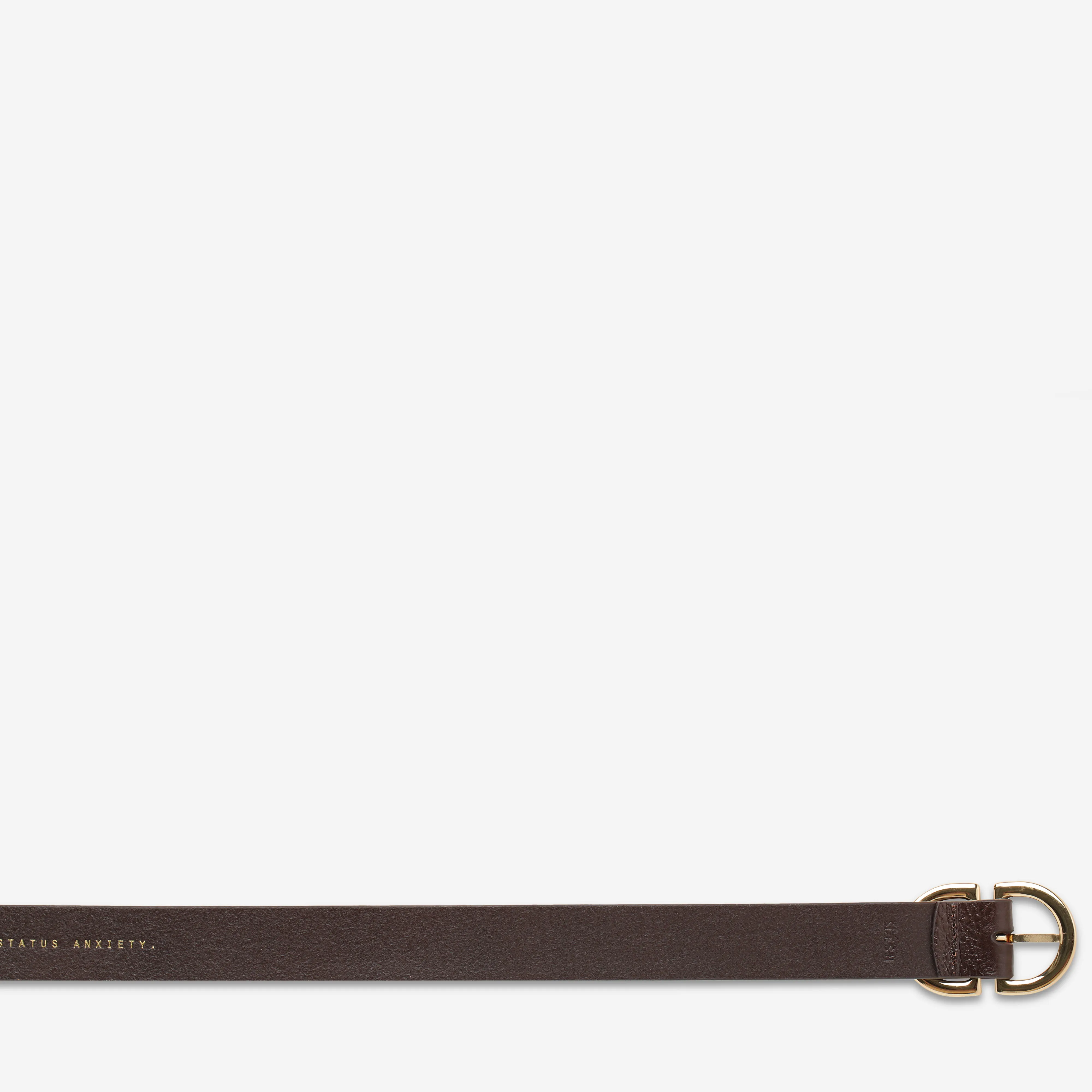 In Reverse Belt - Choc/Gold sold by Status Anxiety product image thumbnail 5