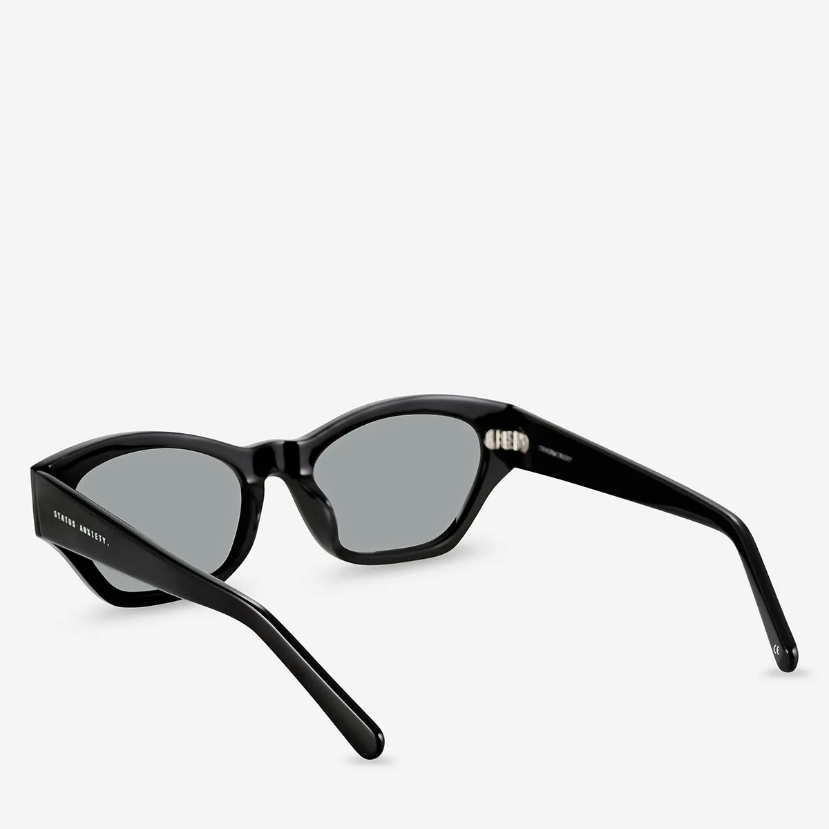 Otherworldly Sunglasses - Black sold by Status Anxiety product image thumbnail 4